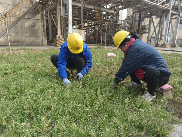 3月22日，行政保衛(wèi)部馬師傅和孫師傅在道路兩旁清除雜草。.jpg