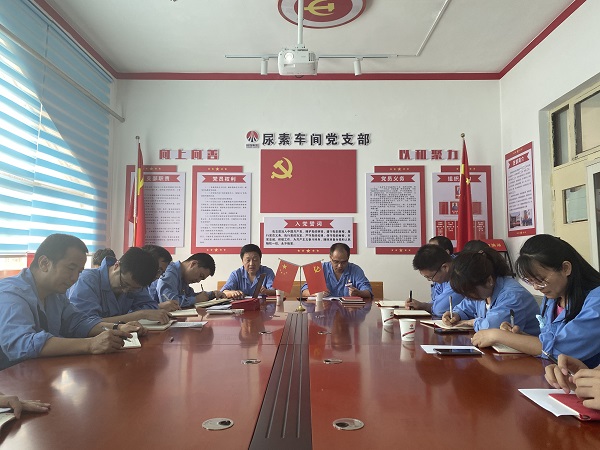 6月19日下午，尿素車間黨支部與法律審計(jì)部黨支部開展結(jié)對(duì)共建活動(dòng)2.jpg